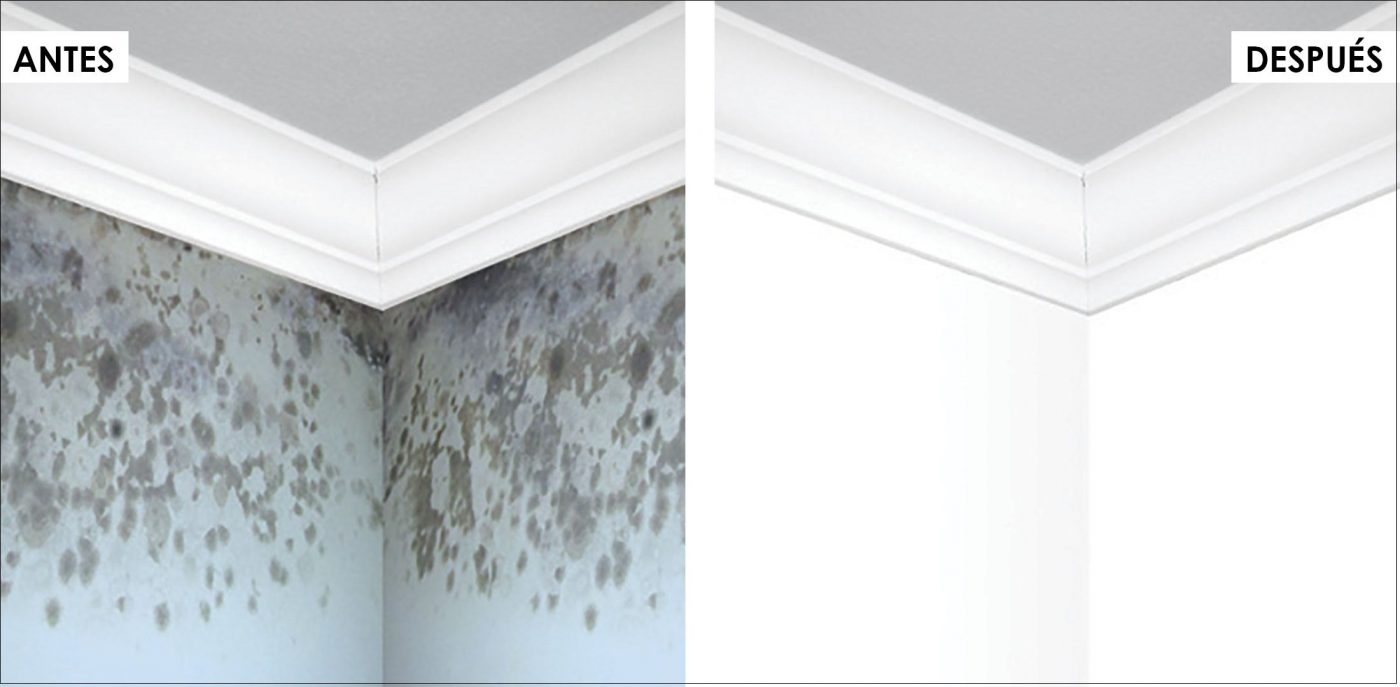 Cómo quitar la humedad antes de pintar la pared